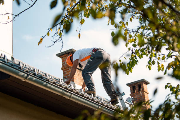 Best Flat Roof Repair Services  in Centerville, MN
