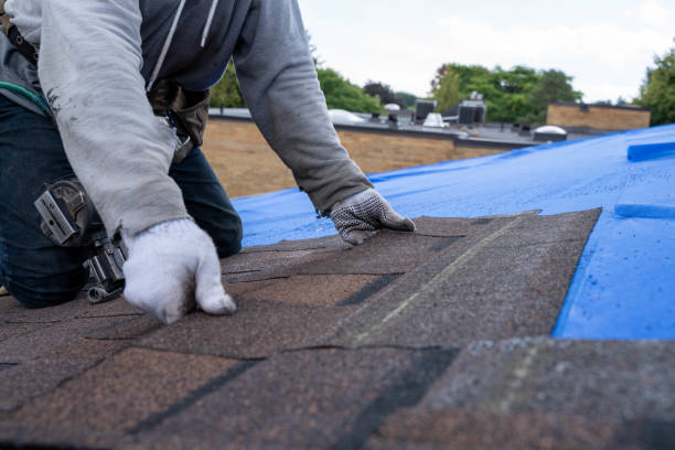 Professional Roofing Contractor in Centerville, MN